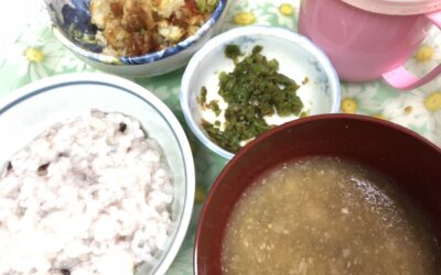 和佐地域の在宅介護を支える！ミキサーで作る時短介護食レシピのススメ