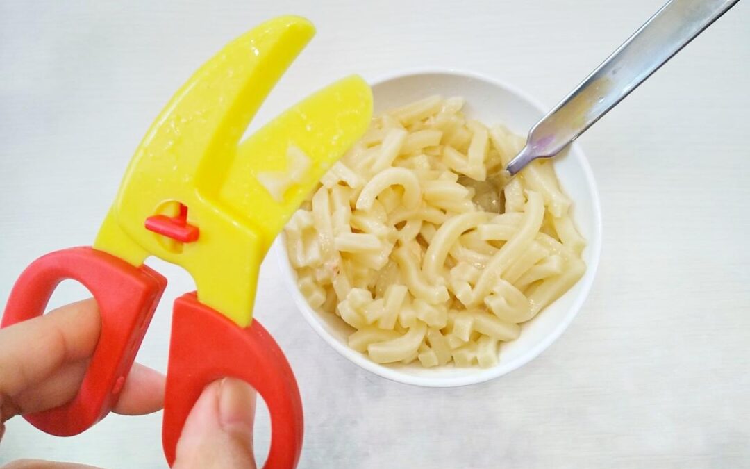 介護食のハサミを比較！食洗機対応や分解機能も解説
