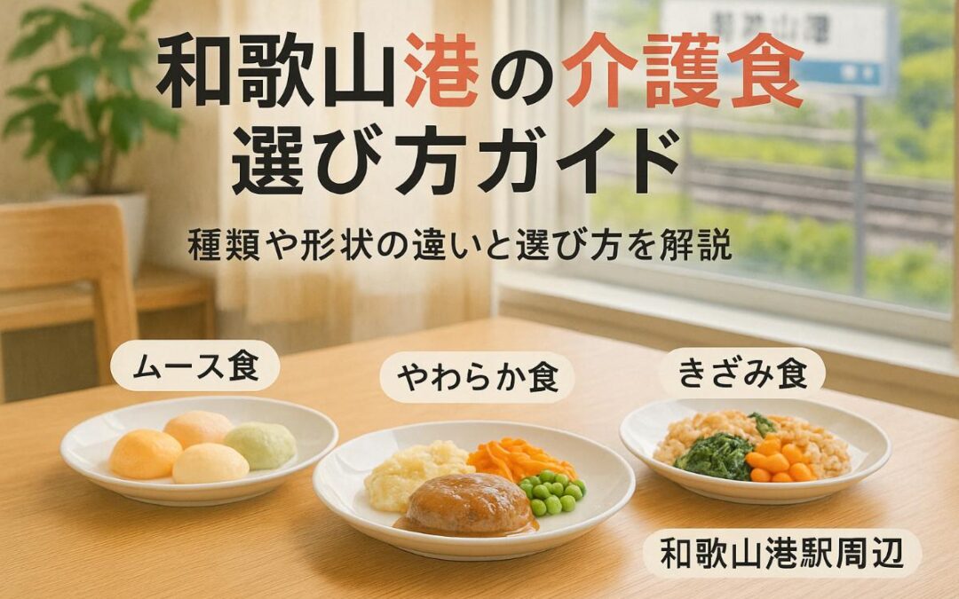 和歌山港駅で介護食の選び方完全ガイド｜高齢者向け宅配サービスや嚥下食の特徴と安心ポイント
